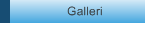 Galleri