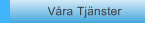 Våra Tjänster
